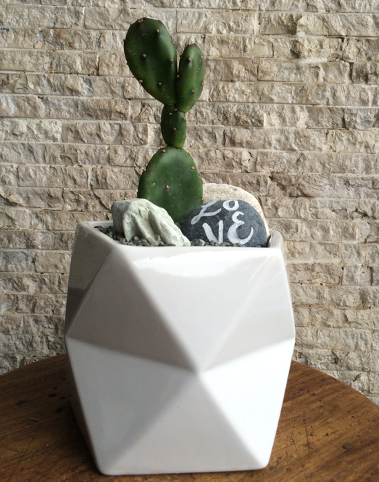 cactus in geometric planter